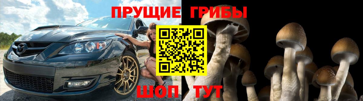 где можно купить наркотик  Вход с VPN  Чусовой  Псилоцибиновые грибы GOLDEN TEACHER 